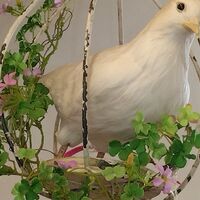 画像1560