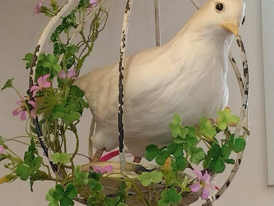 画像1560